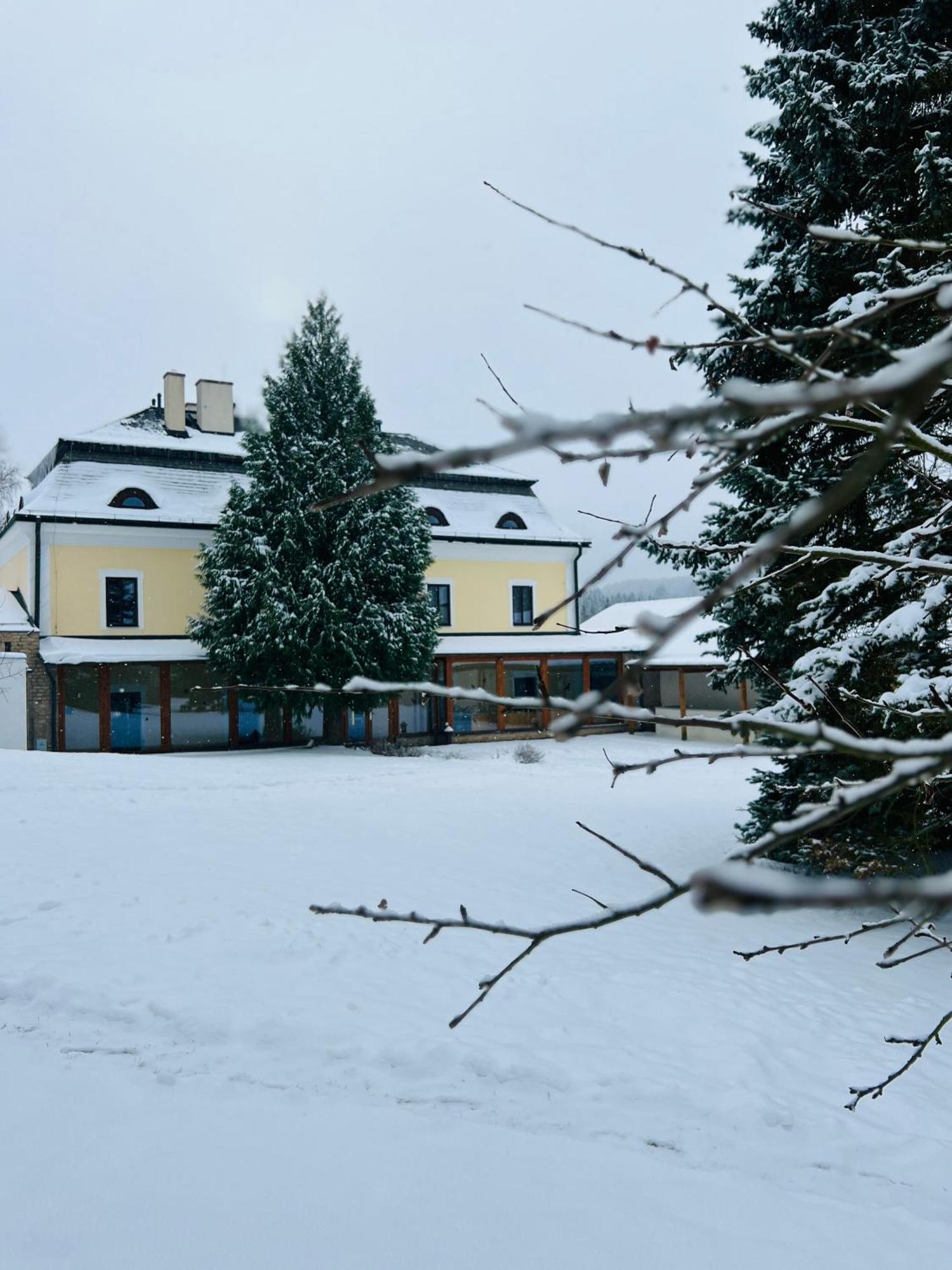 Resort Lisensky Dvur Sněžné المظهر الخارجي الصورة